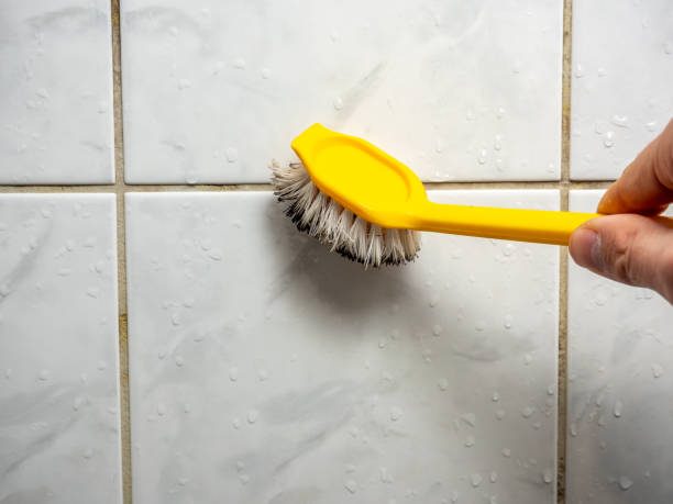 Best Mold Cleaning Services  in Brownsville, TX