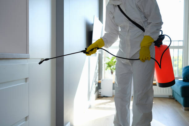 Best Mold Testing  in Brownsville, TX