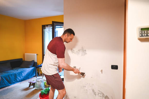 Best Home Mold Removal  in Brownsville, TX
